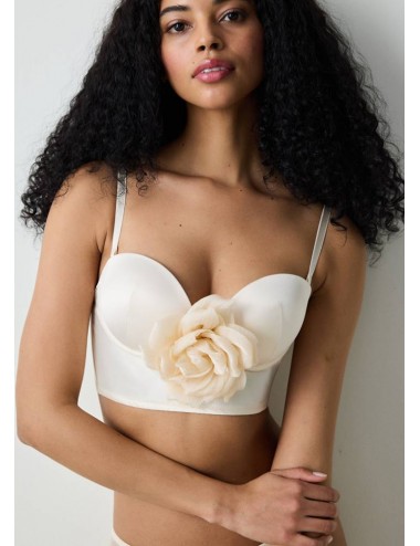 Removable Rose Perfetto Büstiyer